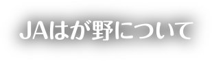 JAはが野について